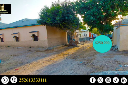 Guri Filo ah oo iib ah Labo dhagax Mogadishu