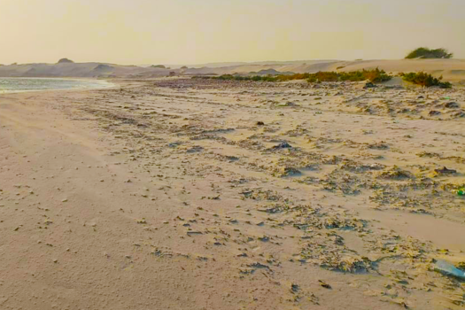 Dhul Xeebeed IIB AH JAZEERA AREA.