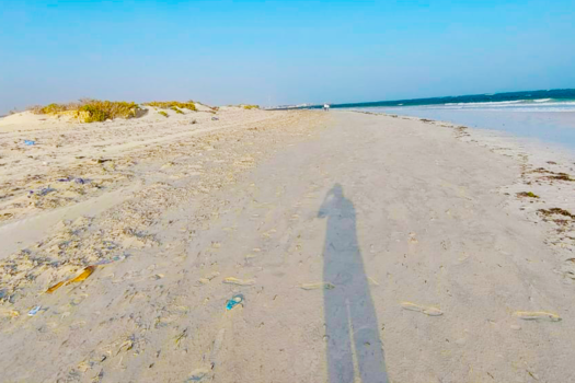 Dhul Xeebeed IIB AH JAZEERA AREA.