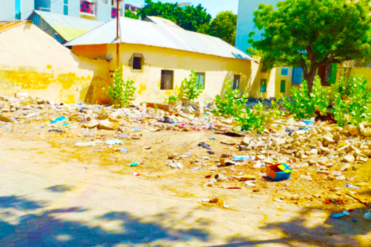 Dhul Banaan oo iib ah Degmada Hodan