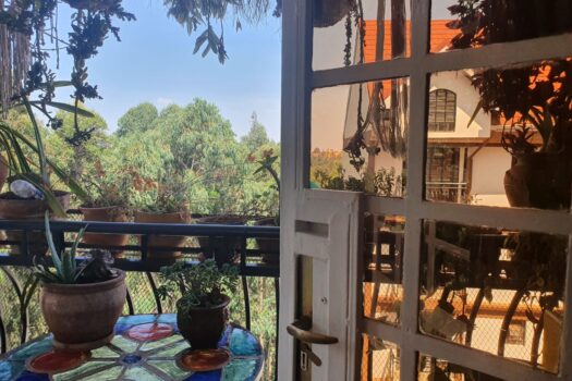 Ruaka Ridge apartments In Nairobi Kenya