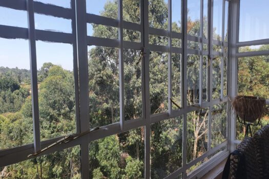 Ruaka Ridge apartments In Nairobi Kenya